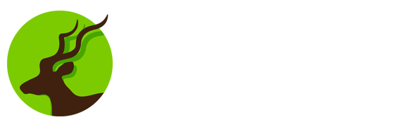 爱球直播